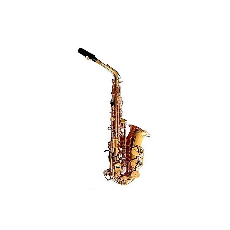 Saxofon alto Mib profesional. Logan. Lacado oro.Dearmonia.com
