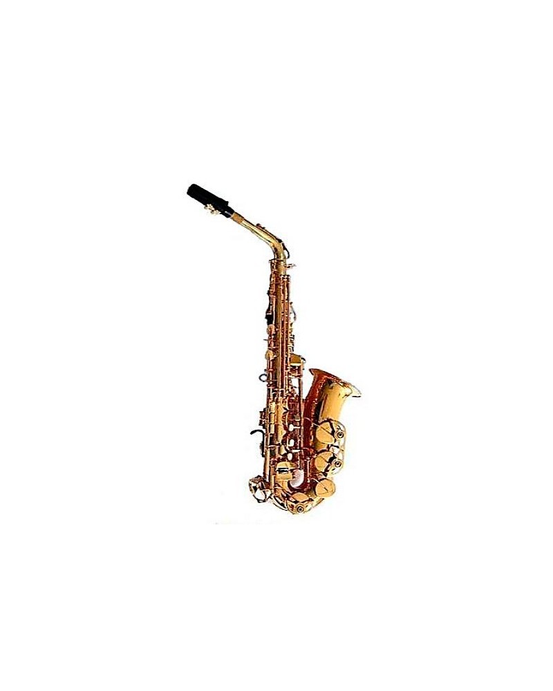 Saxofon alto Mib profesional. Logan. Lacado oro.Dearmonia.com