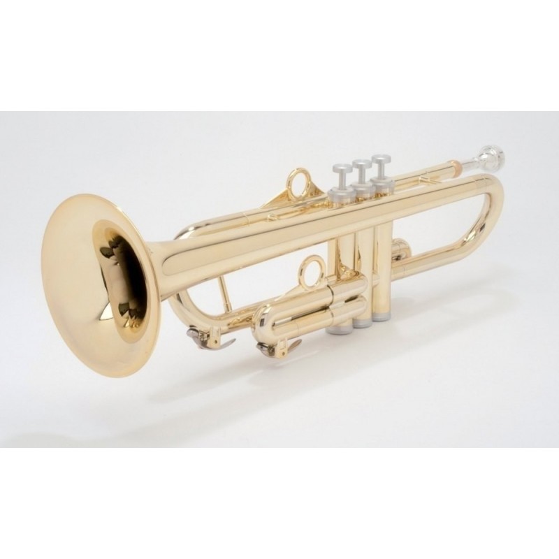 trompeta plastico y metal
