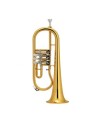 Fliscorno de cilindros FC-1000