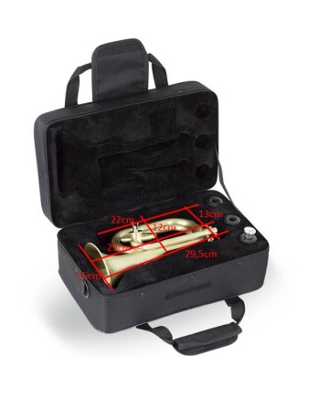 estuche rectangular para corneta