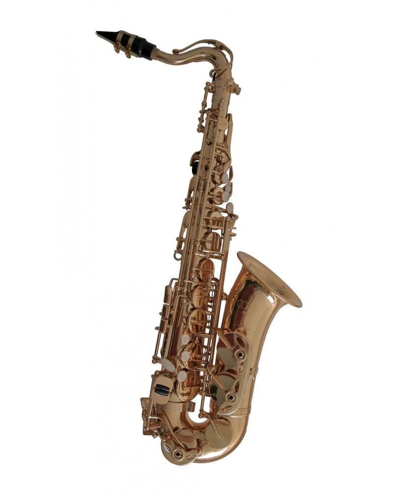 Saxofón Alto As-655 Conn Mib Para Niños dearmonia.com