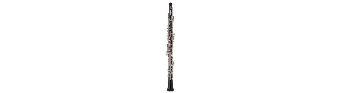 En nuestra tienda Online puedes comprar tu Oboe al mejor precio