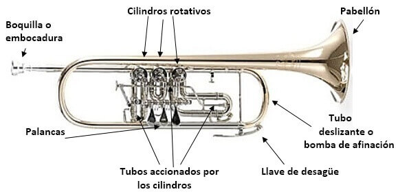trompeta de cilindros o rotores